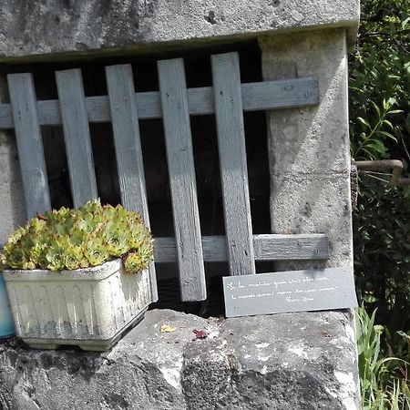 Gite O Beauval 상테뇽 외부 사진