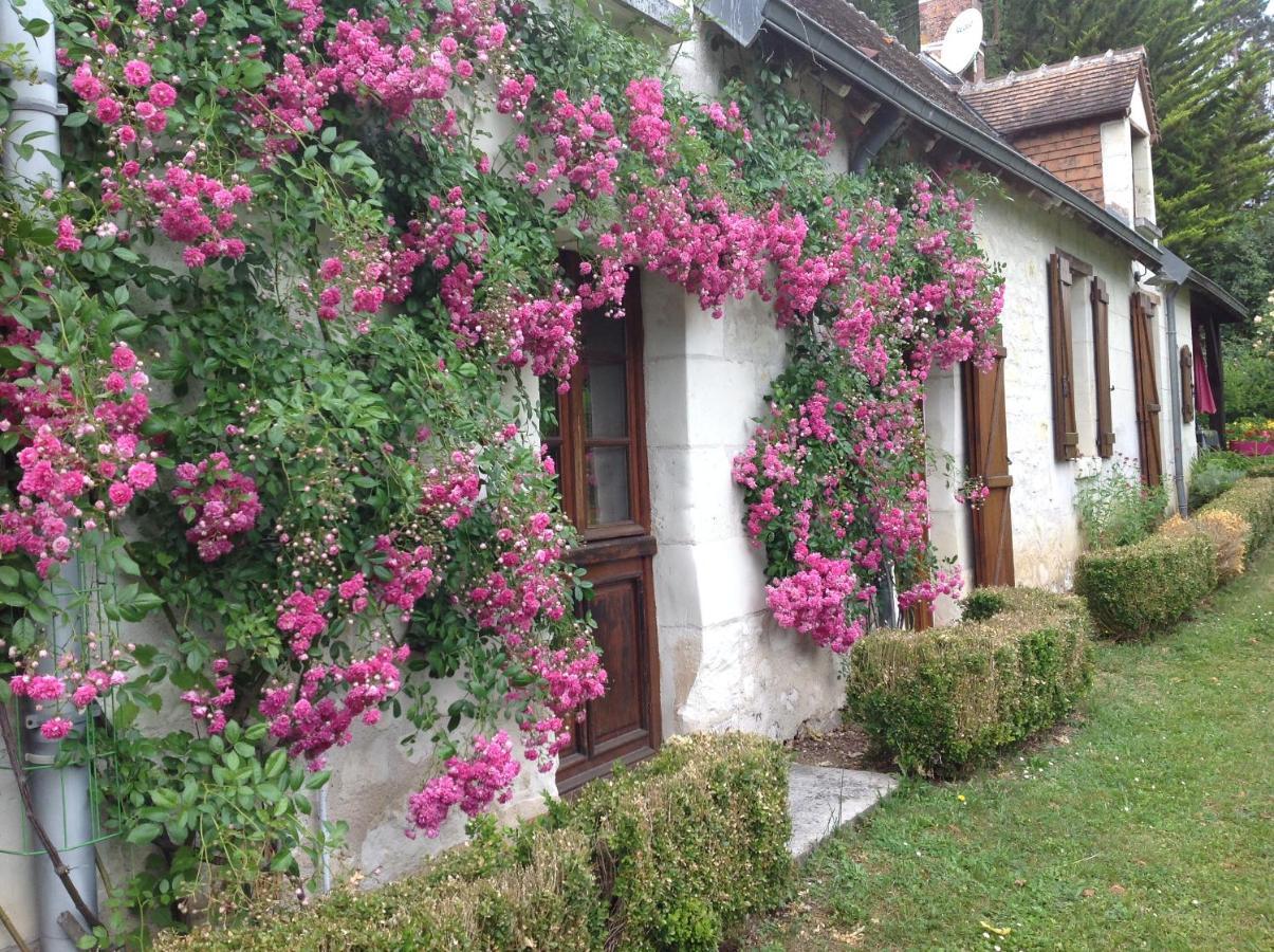 Gite O Beauval 상테뇽 외부 사진