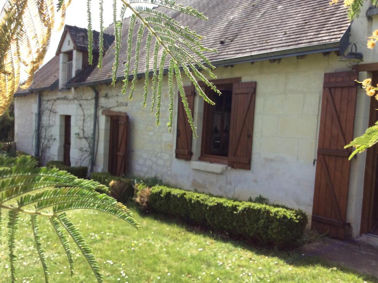 Gite O Beauval 상테뇽 외부 사진